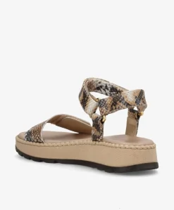 Dame Shoedesign Copenhagen TILDE A - Beige læder snake - Sandaler platform Dame