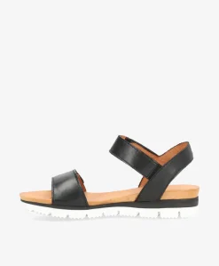 Dame Shoedesign Copenhagen TOSCANA - Dame sandal - Black